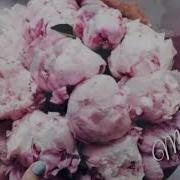 Везнарг Хьо Са Дагна Хьоме Вууу Джайна Алиева 2018