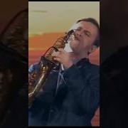 Владимир Арзамасов Сакс