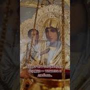 Остановись И Не Спеши