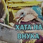 Пародия На Хата На Тата
