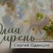 Белая Сирень Сергей Одинцов