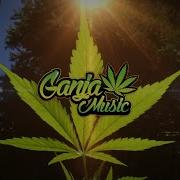 Ganja Love