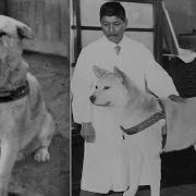 Hachiko A True Story Of A Dog S Love For His Master Hindi