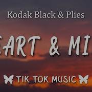 Kodak Black Plies Heart Mind Lyrics You Got My Heart Got My Mind Tiktok Music