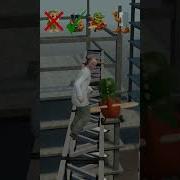 Гангстритто Бобрито