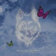 Masked Wolf Butterflies Bandaids Fovos Remix