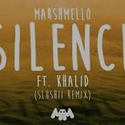 Silence Slushii