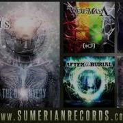 Dissimulation Born Of Osiris