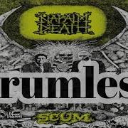 Napalm Death Drumless