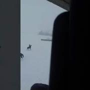Киноъотшо Човандоз Нохияи Рашт