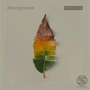 Downgrooves Morning Never Comes