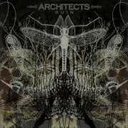 Save Me Architects