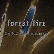 Forest Fire На Последнем Дыхании