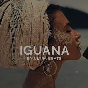 Iguana Oriental Reggaeton Type B Iguana Oriental Reggaeton Type Beat Instrumental Prod By Ultra Beatseat Instrumental Prod By Ultra Beats