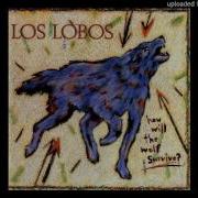 The Breakdown Los Lobos