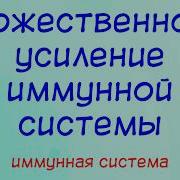 Настрои Сытина Божественное Усиление Иммунной Системы