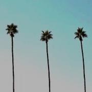 Pro Era Joey Bada Pantie Raid Pt Ii Prod Bruce Leekix