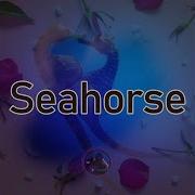 Seahorse Release Topic