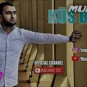 Mürsəl Səfərov Küs Barış 2016