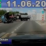 Подборка Дтп Животным