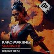 Kako Martinez Shaking It Afro Flamenco Mix