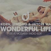 Jaycee Madoxx Wonderful Life Steve Modana Extended Mix