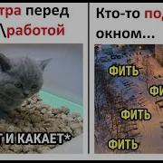 Лютые Приколы А Белый Лебедь На Пруду Задолбался И Орет В Трубу