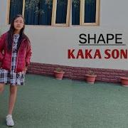 Kaka Shape Dance