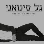 גל סינואני מחרוזת צל עץ תמר