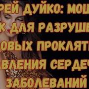 Шум От Болезней Легких О Лёгких Дуйко