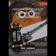 Аризона Бошки Minus