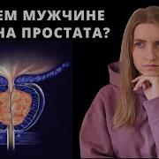 Предстательная Железа