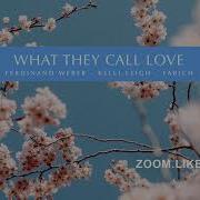Ferdinand Weber Kelli Leigh Fabich What They Call Love Zoom Like Remix