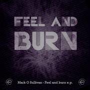 Feel And Burn Remix