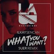 Ilkay Sencan What You Want Suer Remix