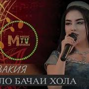 Ало Бачай Хола