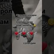 Seni Sog Indim Sher Сени Согиндим Шер