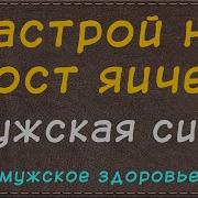 Мужская Сила Сытин