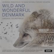 Winter On The Heath Danish National Girls Choir Danish National Symphony Orchestra