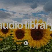 Greenery Silent Partner No Copyright Music