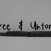 Matthew Mole Free Untorn