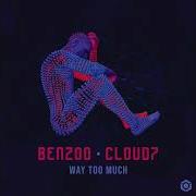 Benzoo Way Too Much