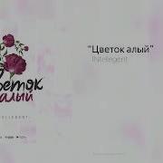 Интеллигент Цветок Алый