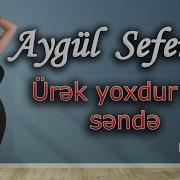 Aygul Seferova 2020