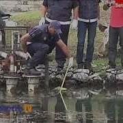 Kanak Kanak 2 Tahun Lemas Di Tasik Titiwangsa