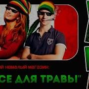 Конопляный Магазин Thc Торонто Канада