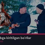 Bo Rilar Qizil Kitobga Kiritilgan