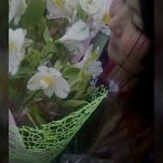 Менден Башка Жанга Жарболбочу Жаным Я Люблю Тебя