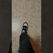 Кампусы На Ножках Снюхал Всё Дорожку