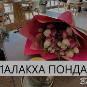 Тоха Вота Лакха Пондар